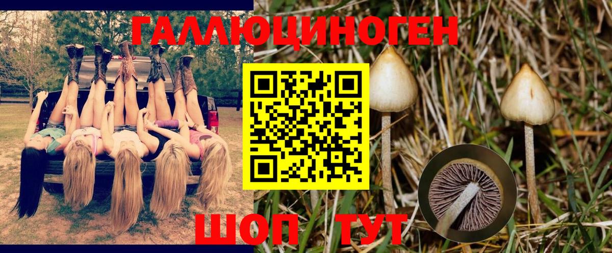 Галлюциногенные грибы мухоморы  Псилоцибиновые грибы Psilocybine cubensis  Вход с VPN  Нижневартовск 