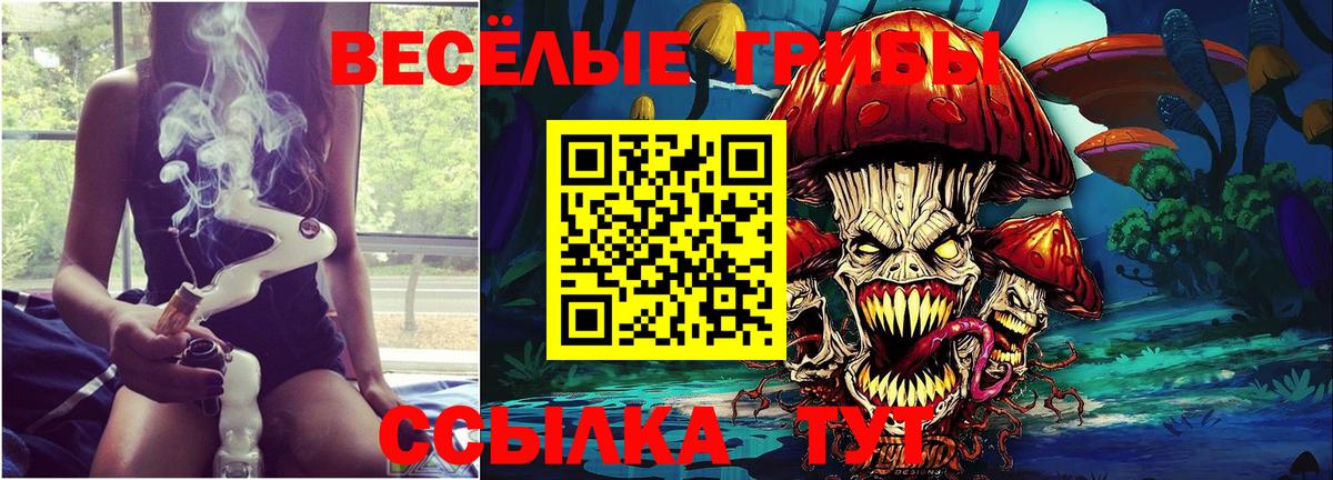 Галлюциногенные грибы Psilocybe Нижневартовск